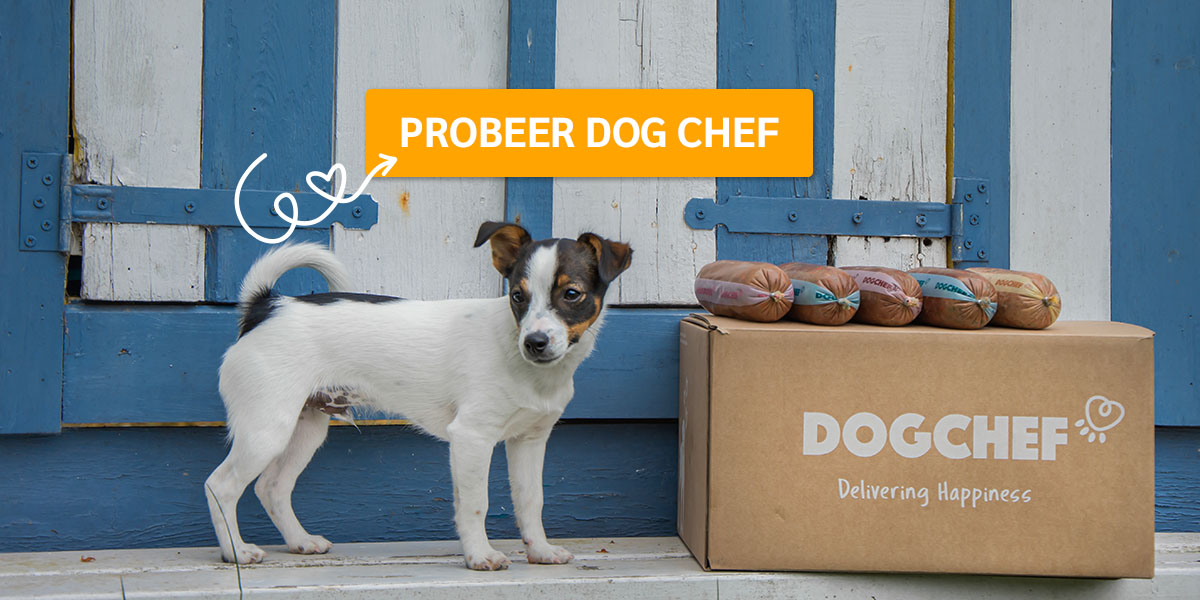 https://www.dogchef.com/en/start