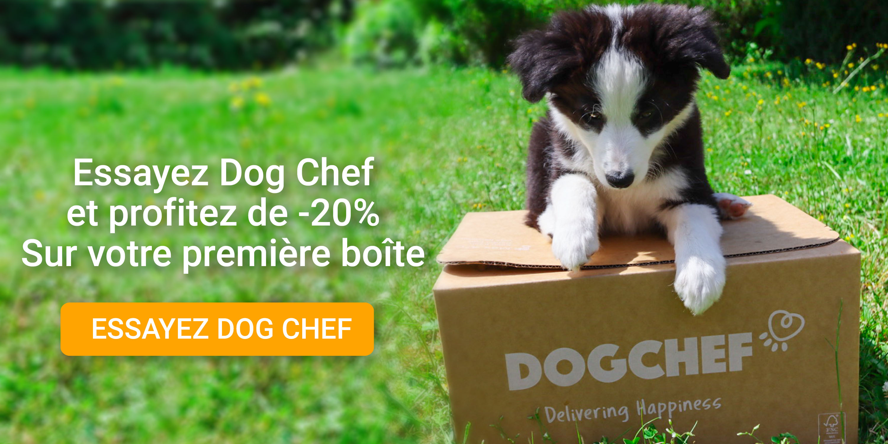Profitez de 20% de réduction sur votre première commande.