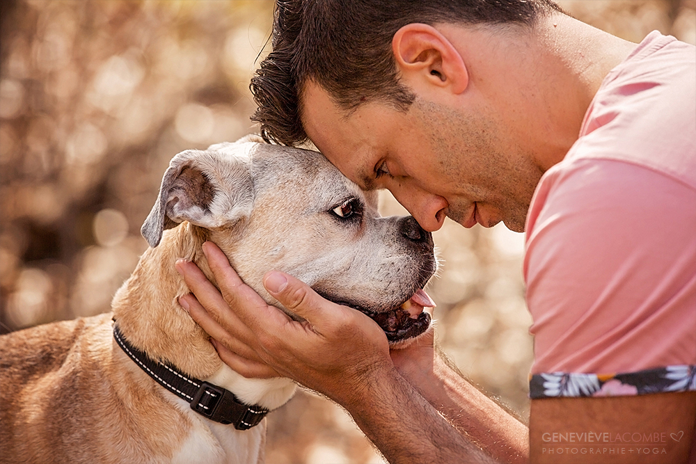 Photo chien boxer âgé avec son papa