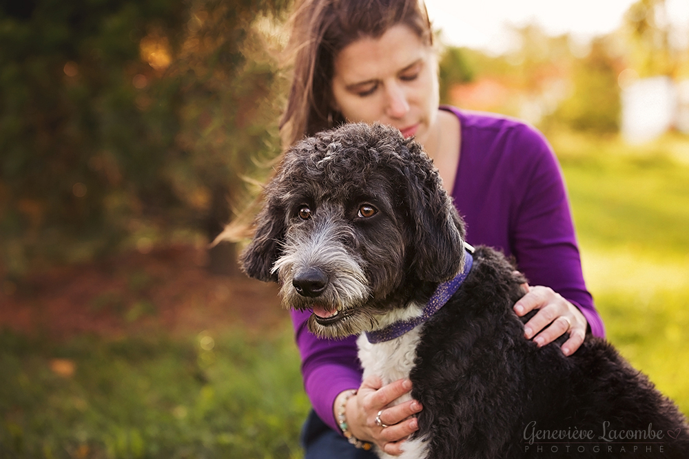 Soin reiki animalier