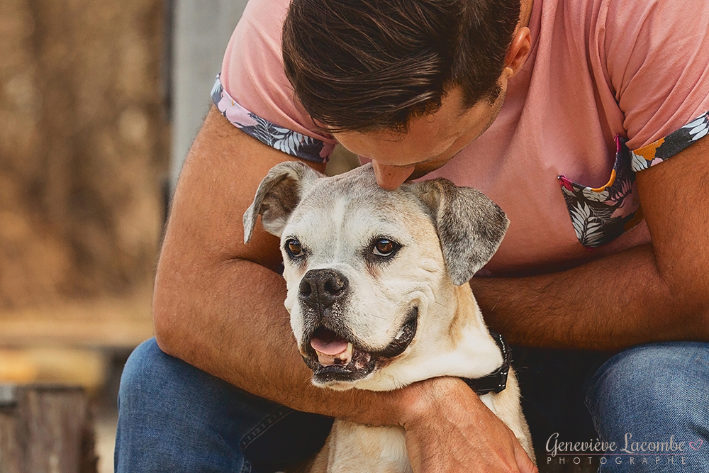 Vieux chien boxer avec son papa