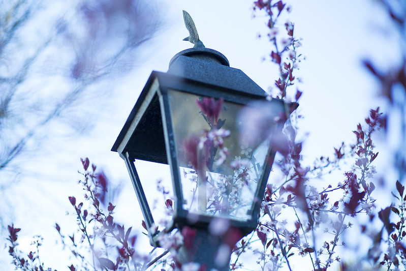 Lamp Post 1