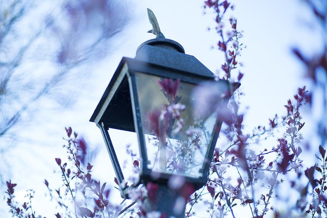 Lamp Post 1