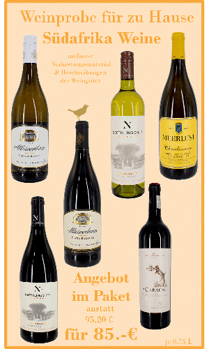 Weinwochen Südafrika