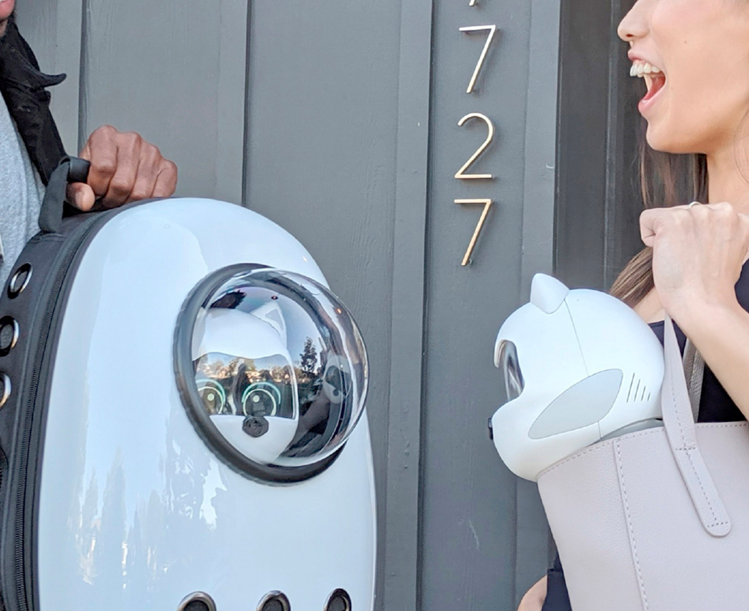 kiki pet robot price