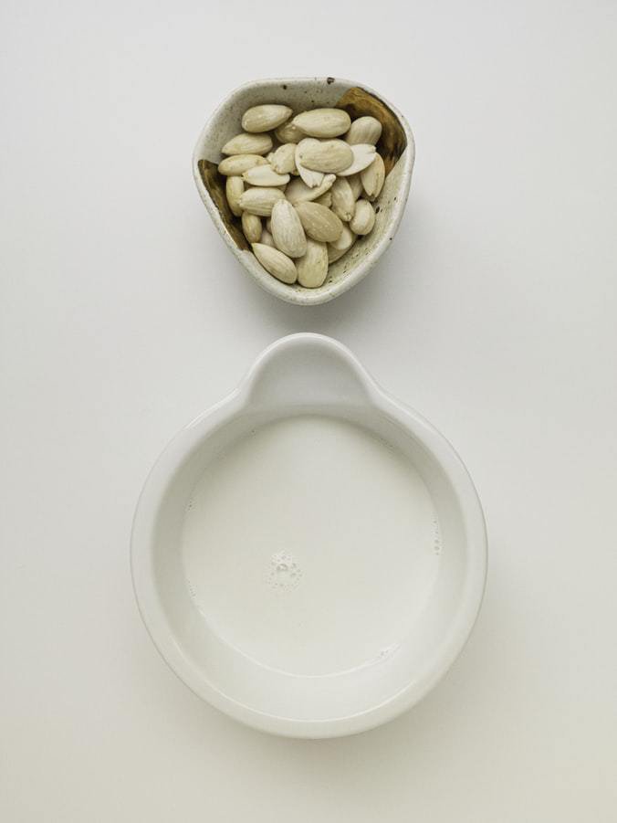 how to make plant milk from home