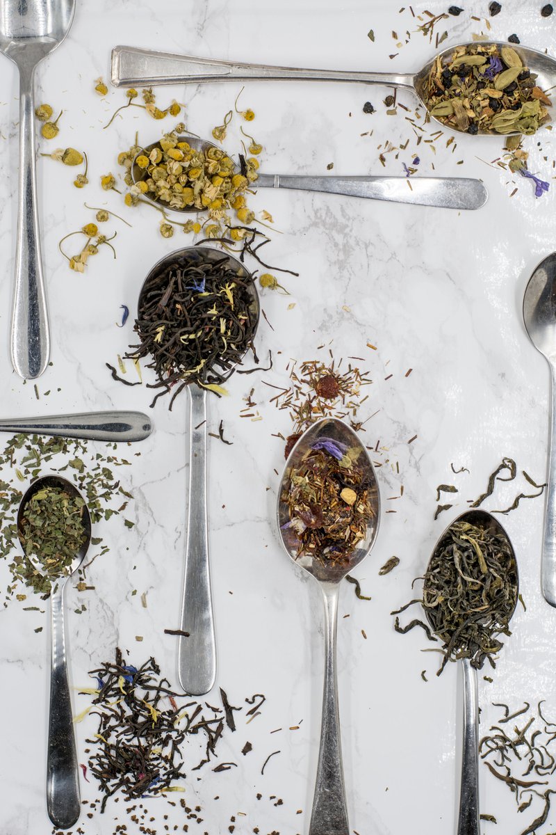what is the best tea for kombucha