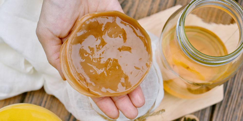 How Is Kombucha Made?