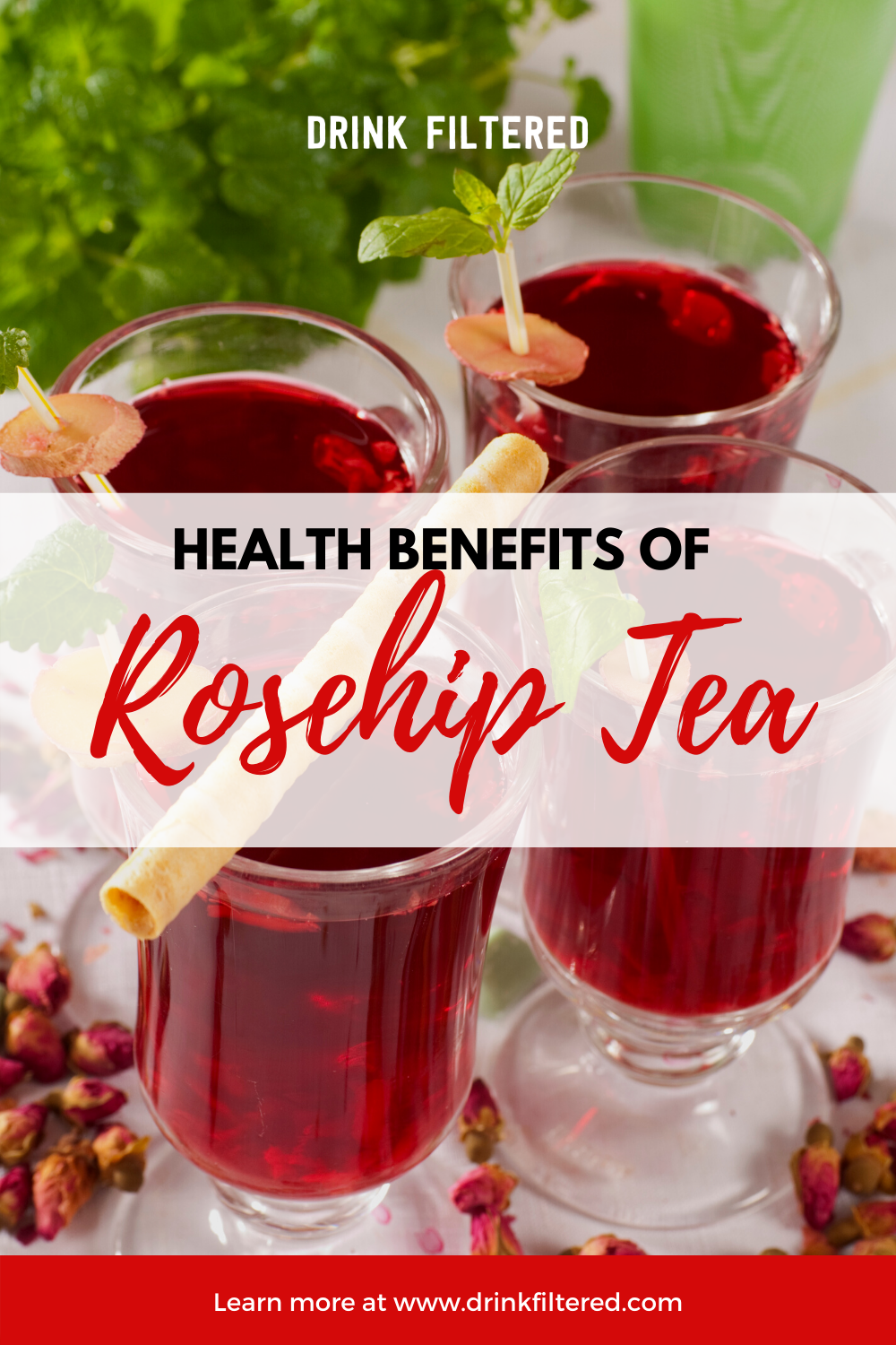 Rose Hip Tea What You Need To Know