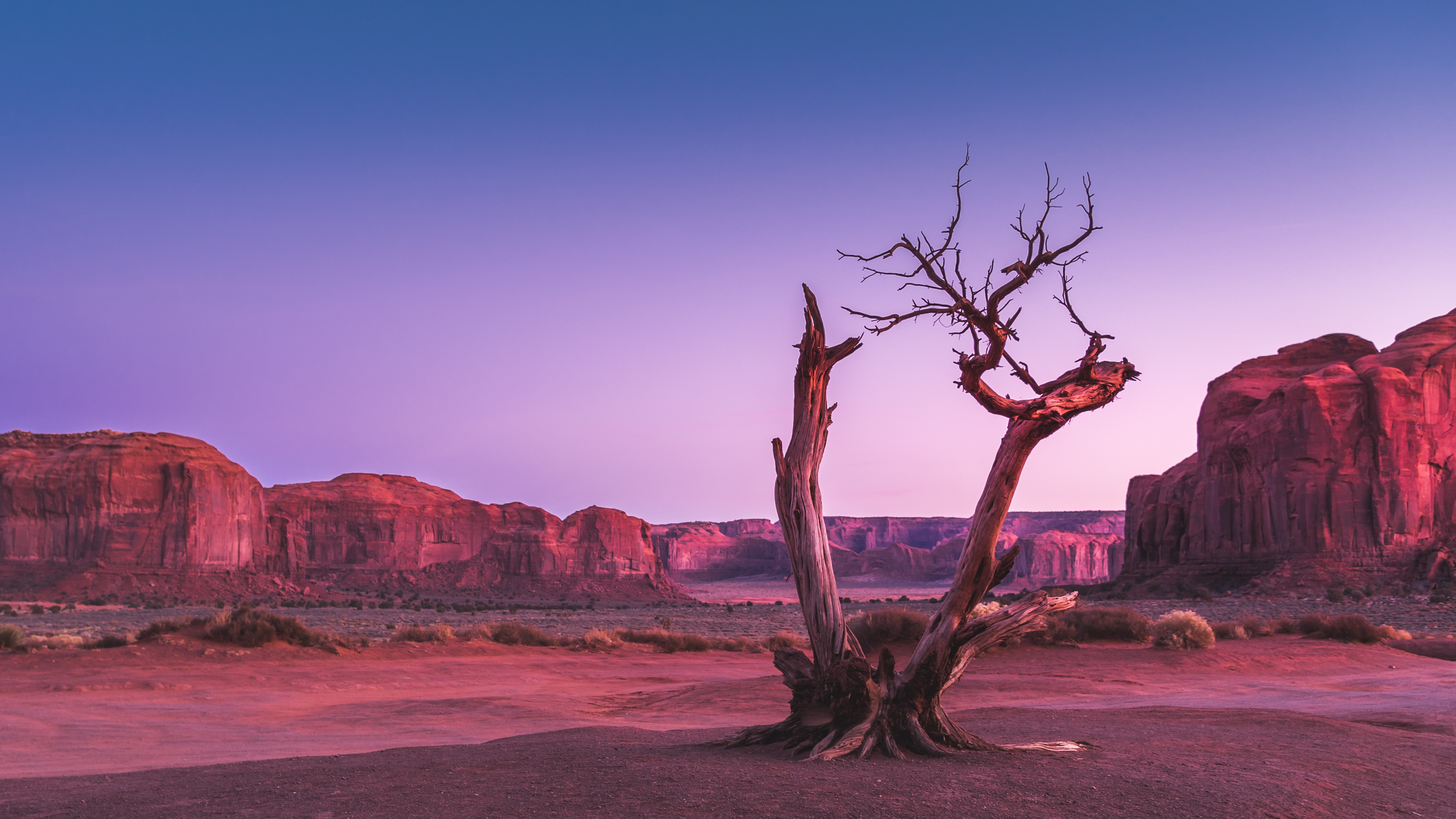 Photo by Ganapathy Kumar on Unsplash