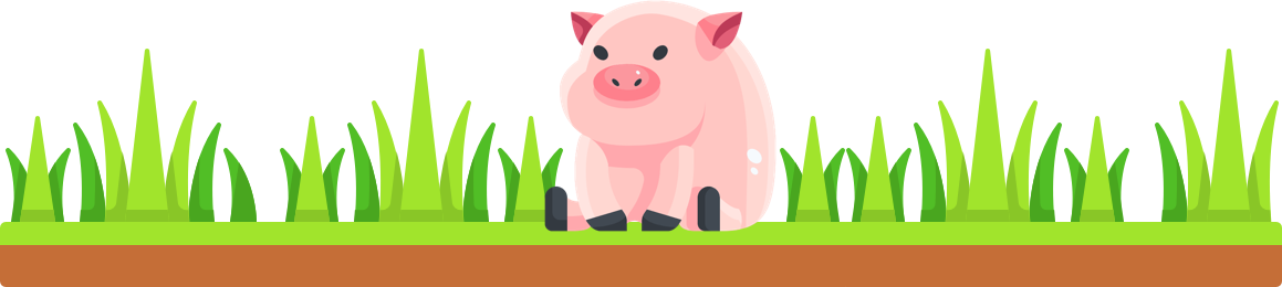 Pig