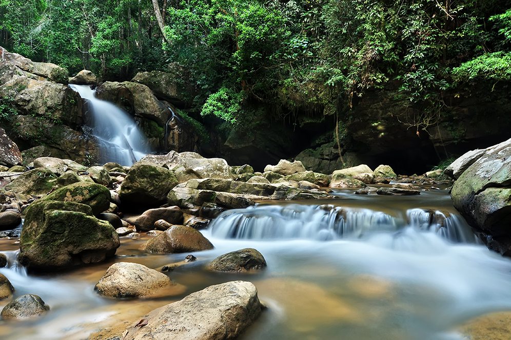 Ini 25 Destinasi Taman Eko Rimba Yang Ada Di Negeri Pahang