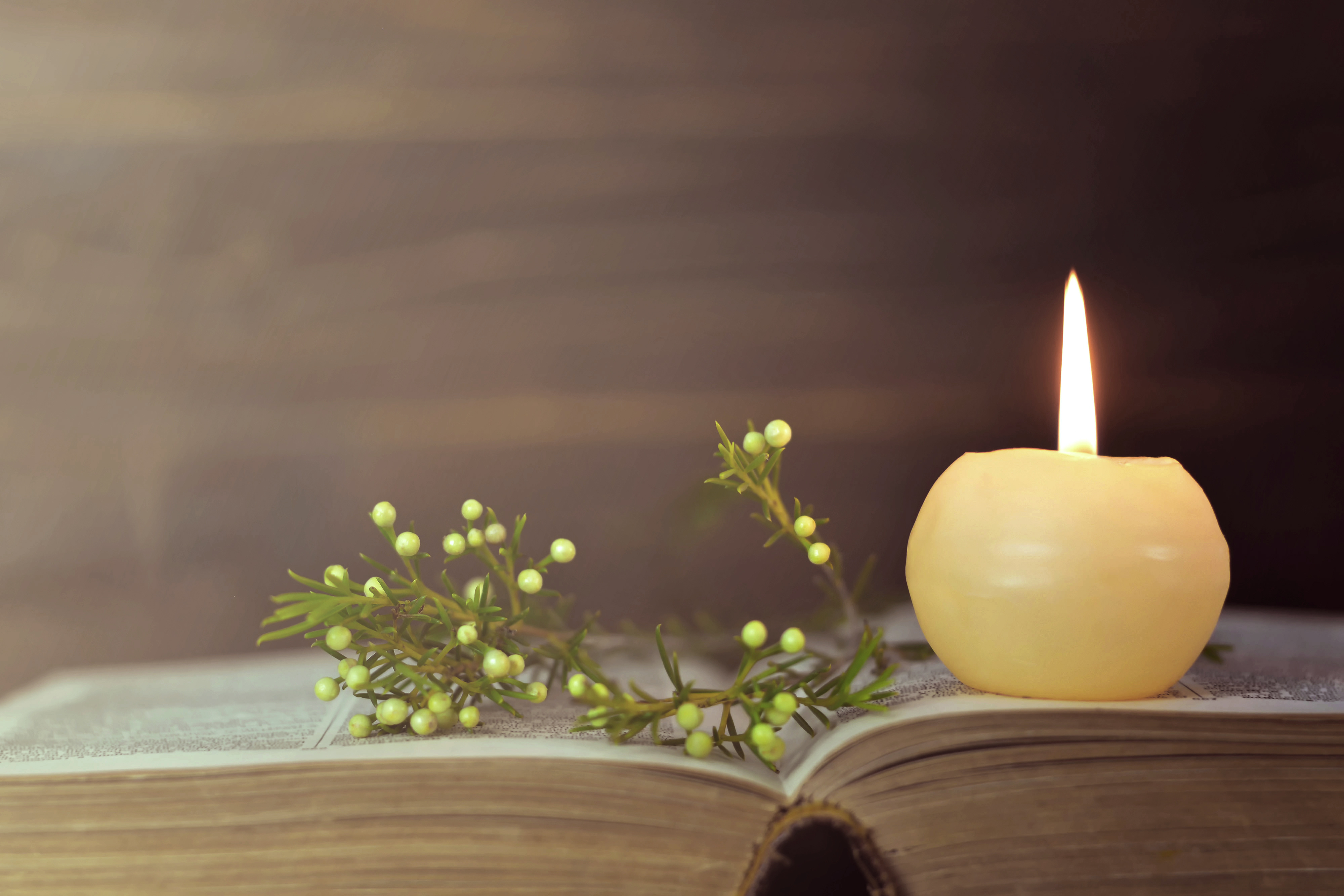 A candle and flower resting upon an open book.