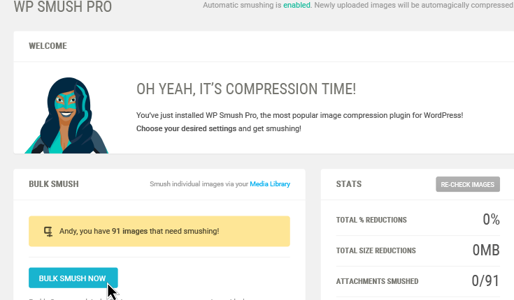 Image result for Smush wordpress