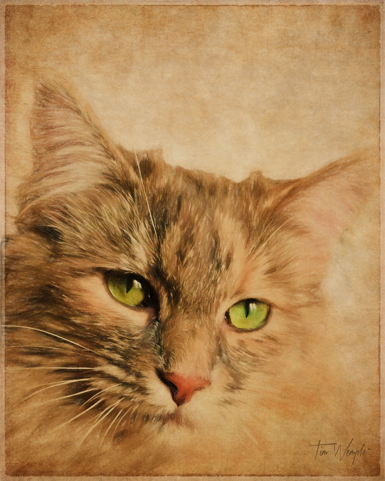 Pet Portrait Digital Color Pencil Style
