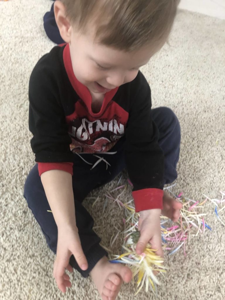 Hands on activities with flowers are an awesome plant lesson