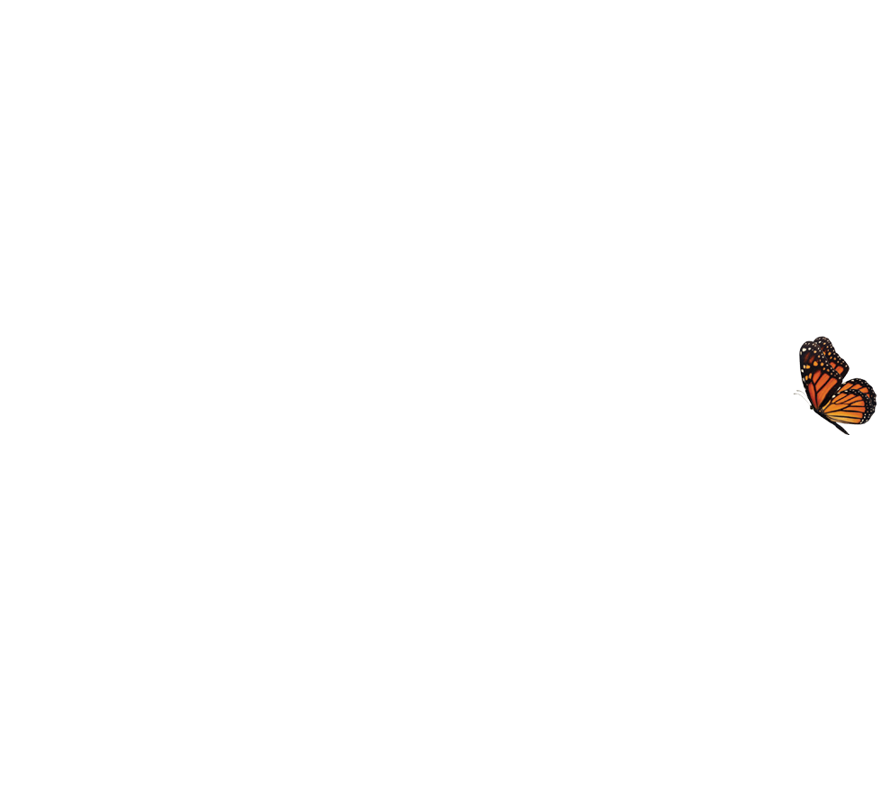 Serendipity Farm and Vine Kansas City Wineries