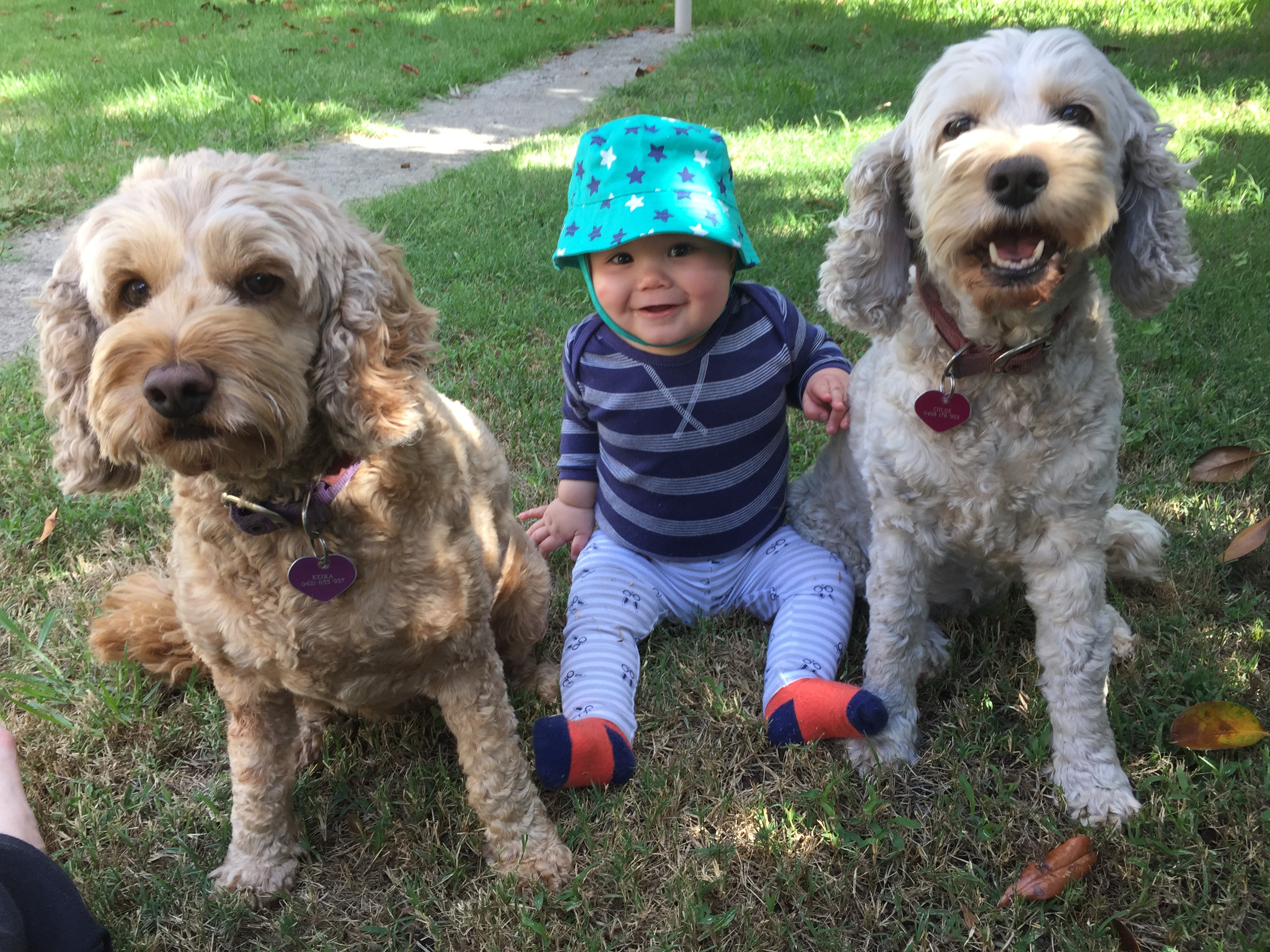 Tenants cashing in on airbnb