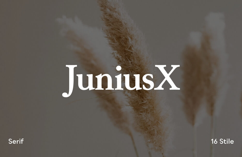 Variable Schriftart Vorschau JuniusX.
