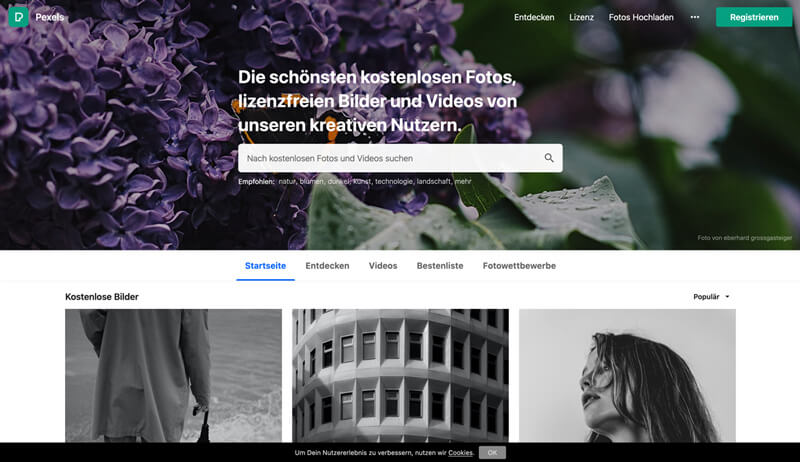 Pexels Website Vorschau.