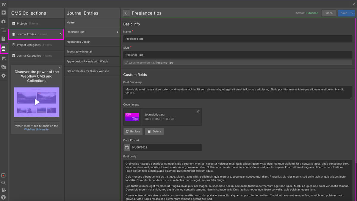 Detailansicht von einem CMS-Element in Webflow.
