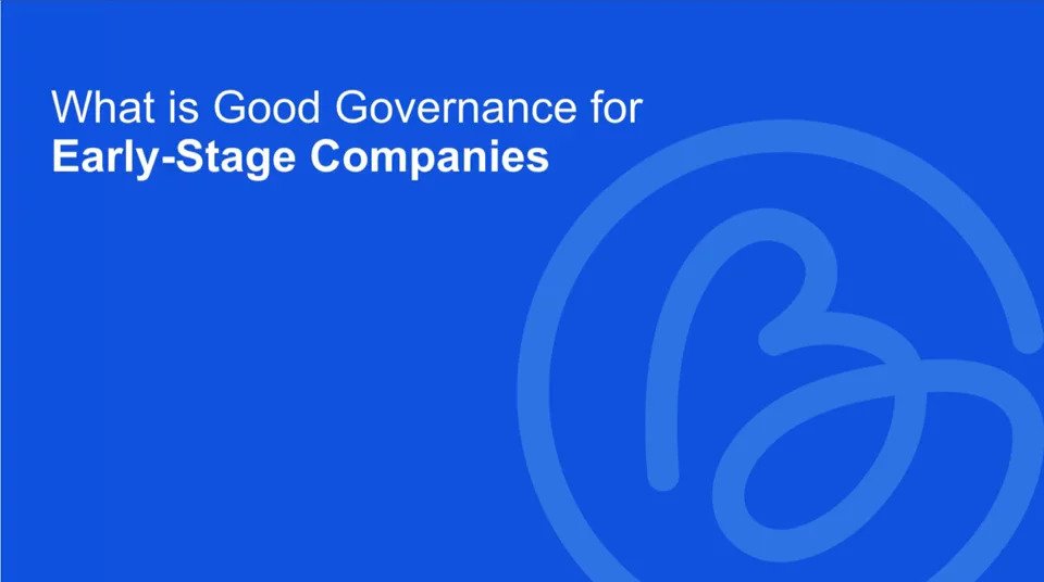 What Is Good Governance In Early Stage Companies