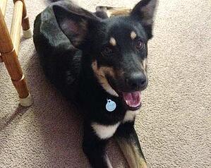 Zoey