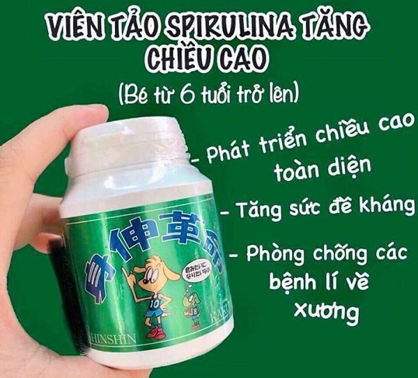 Tảo tăng chiều cao Sinsin của Nhật