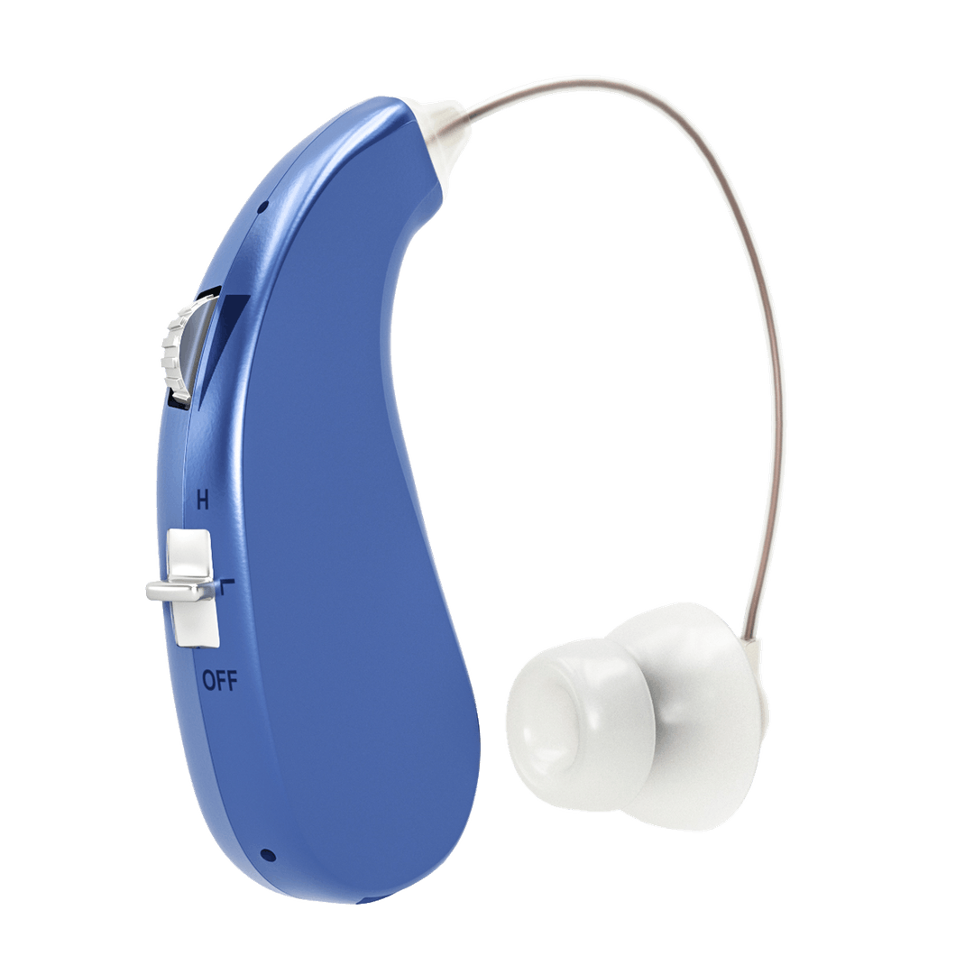 Buy Hearing Aids Online Britzgo