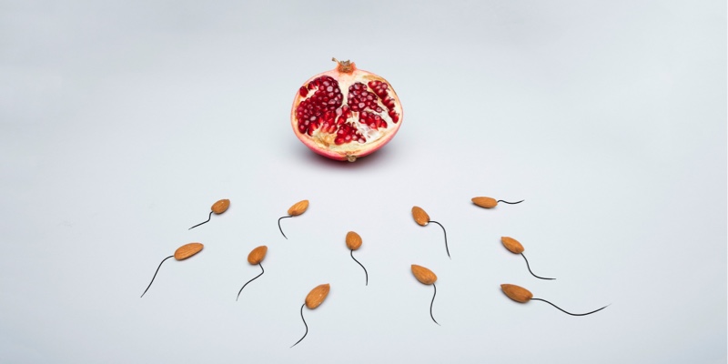 Représentation des spermatozoïdes vers l'ovule avec des fruits