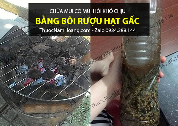 chữa mũi có mùi hôi bằng hạt gấc