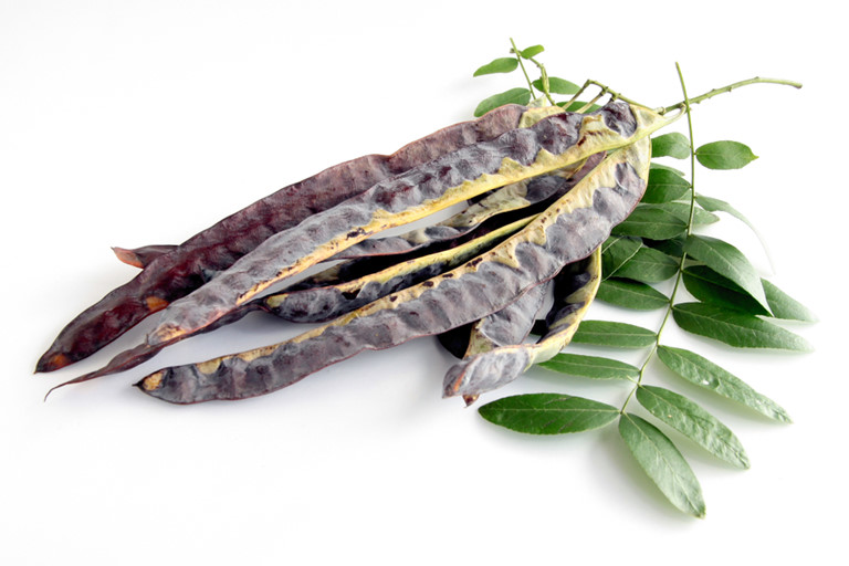 bồ kết mua ở đâu tphcm