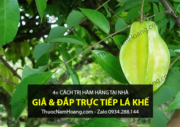 cách trị hăm háng bằng lá khế