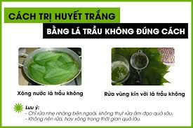 chữa huyết trắng tại nhà hiệu quả bằng lá trầu không