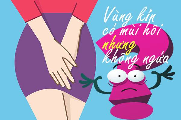 vùng kín có mùi hôi là bệnh gì