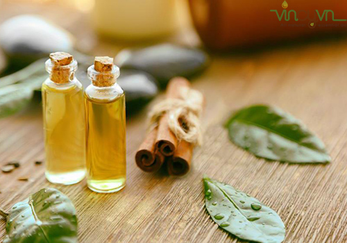 Dùng dầu lá trà chữa trị mụn nước ngứa
