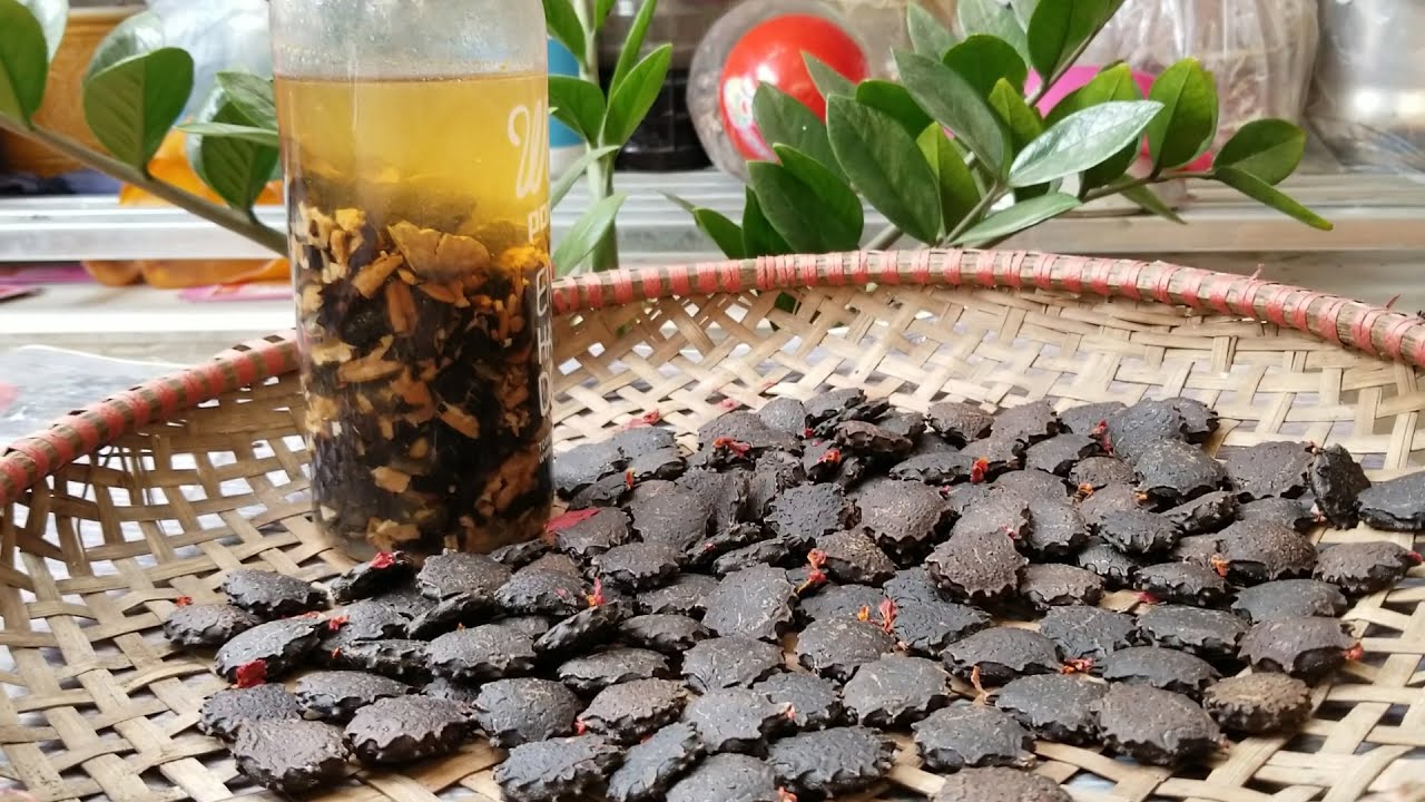 rị viêm xoang bằng hạt gấc