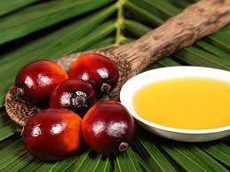 dầu cọ trị rạn da