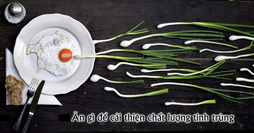 Nên làm thế nào để nâng cao chất lượng tinh trùng