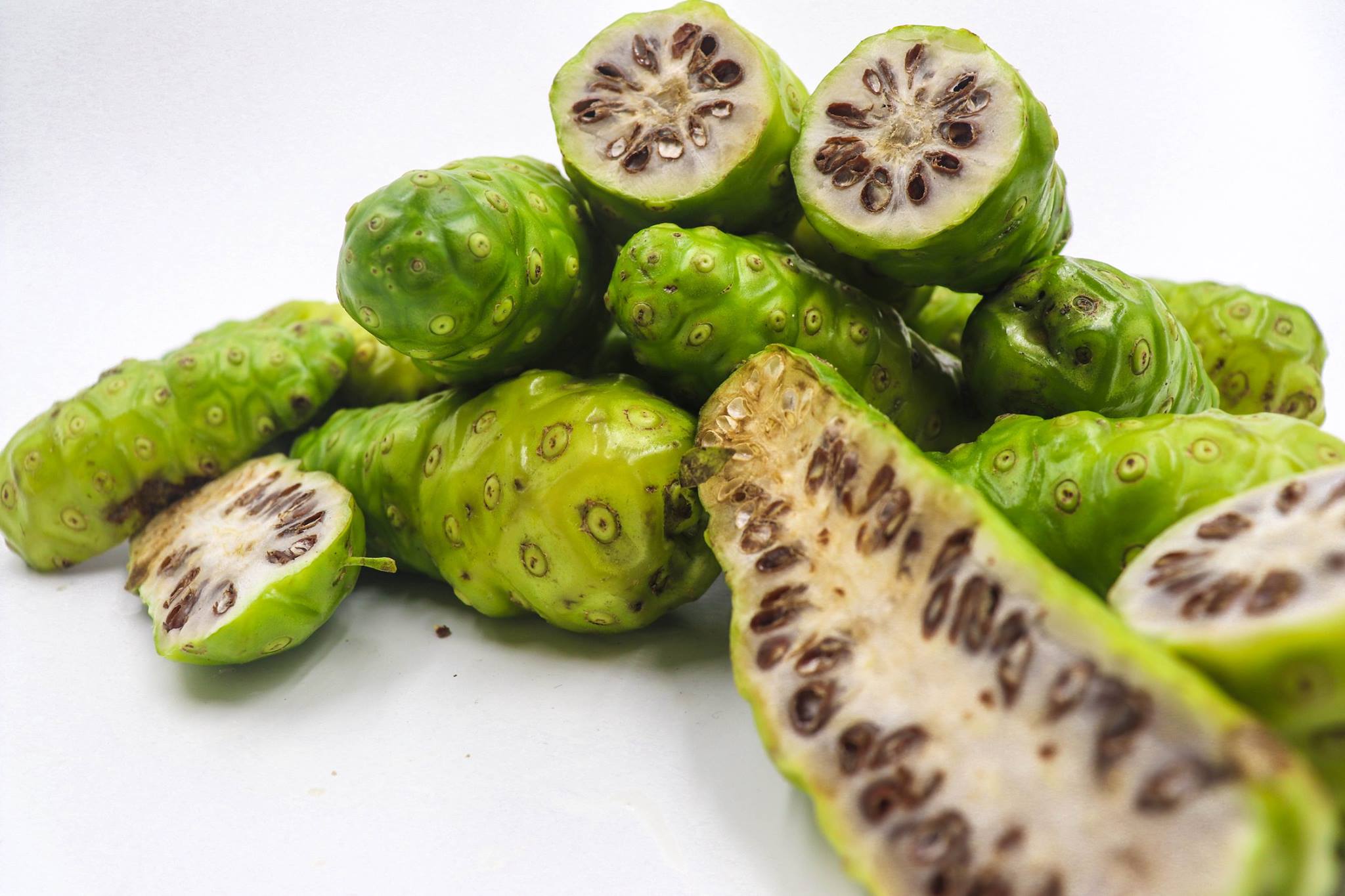 lá nhàu trị đau lưng