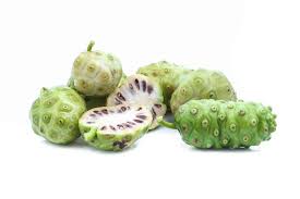 Trị đau lưng Với trái nhàu tươi
