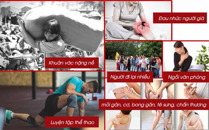 ai có thể dùng thuốc trị xương khớp TIPUTA