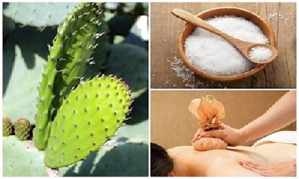 Chữa trị đau lưng từ xương rồng và muối hạt