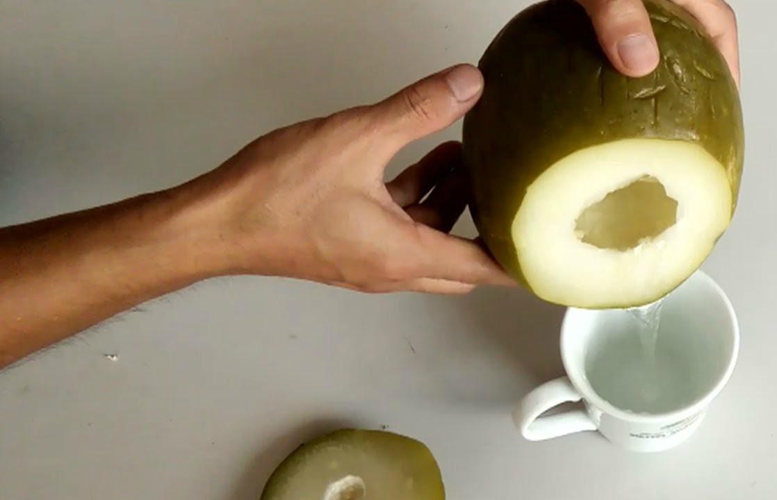 Điều trị đau lưng bằng đu đủ ngâm rượu