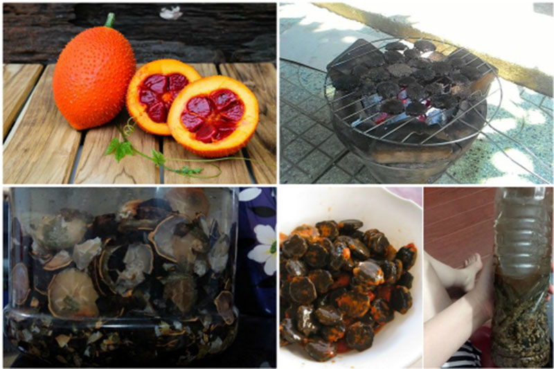 Bài thuốc ngâm rượu chữa đau lưng từ hạt gấc
