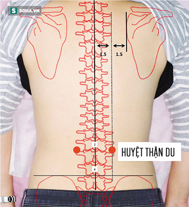 bấm Huyệt Thận du trị đau lưng