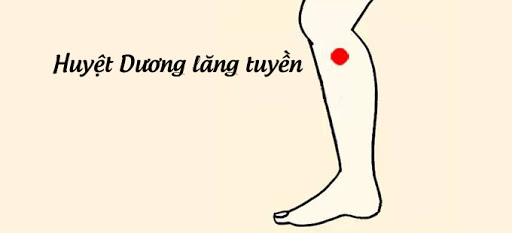 Châm cứu chữa trị đau vai gáy thể phong hàn, khí trệ huyết ứ