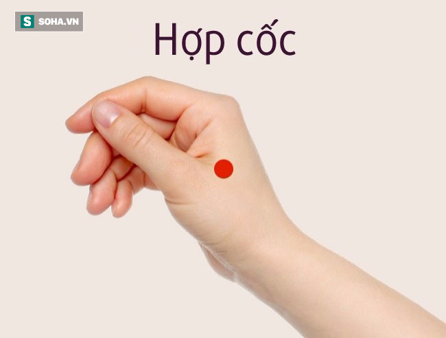 Cách châm cứu trị đau vai gáy thể thấp nhiệt