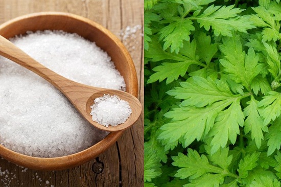 Bài thuốc chữa đau khớp gối từ ngải cứu
