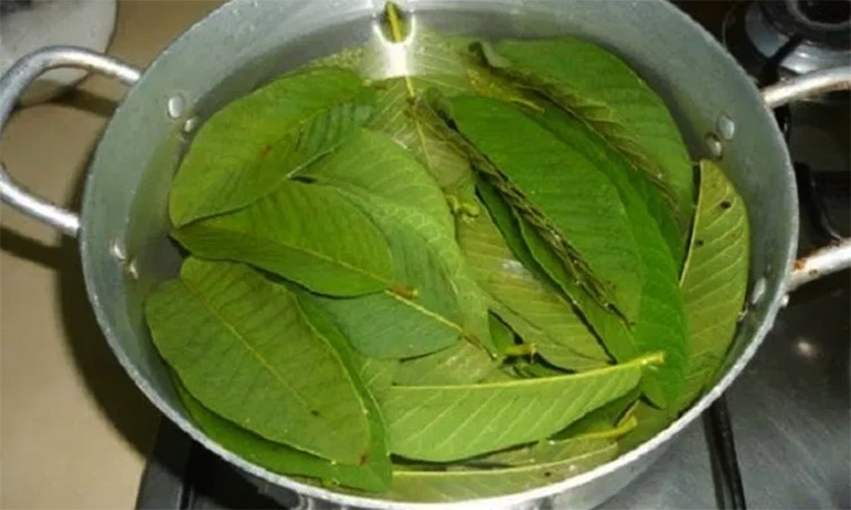 Chữa viêm da cơ địa bằng lá ổi